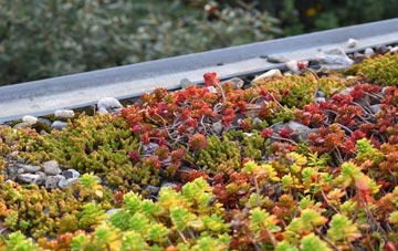 the cost of Austendike green roof installation