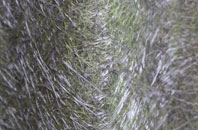 Austendike fibreglass roof work